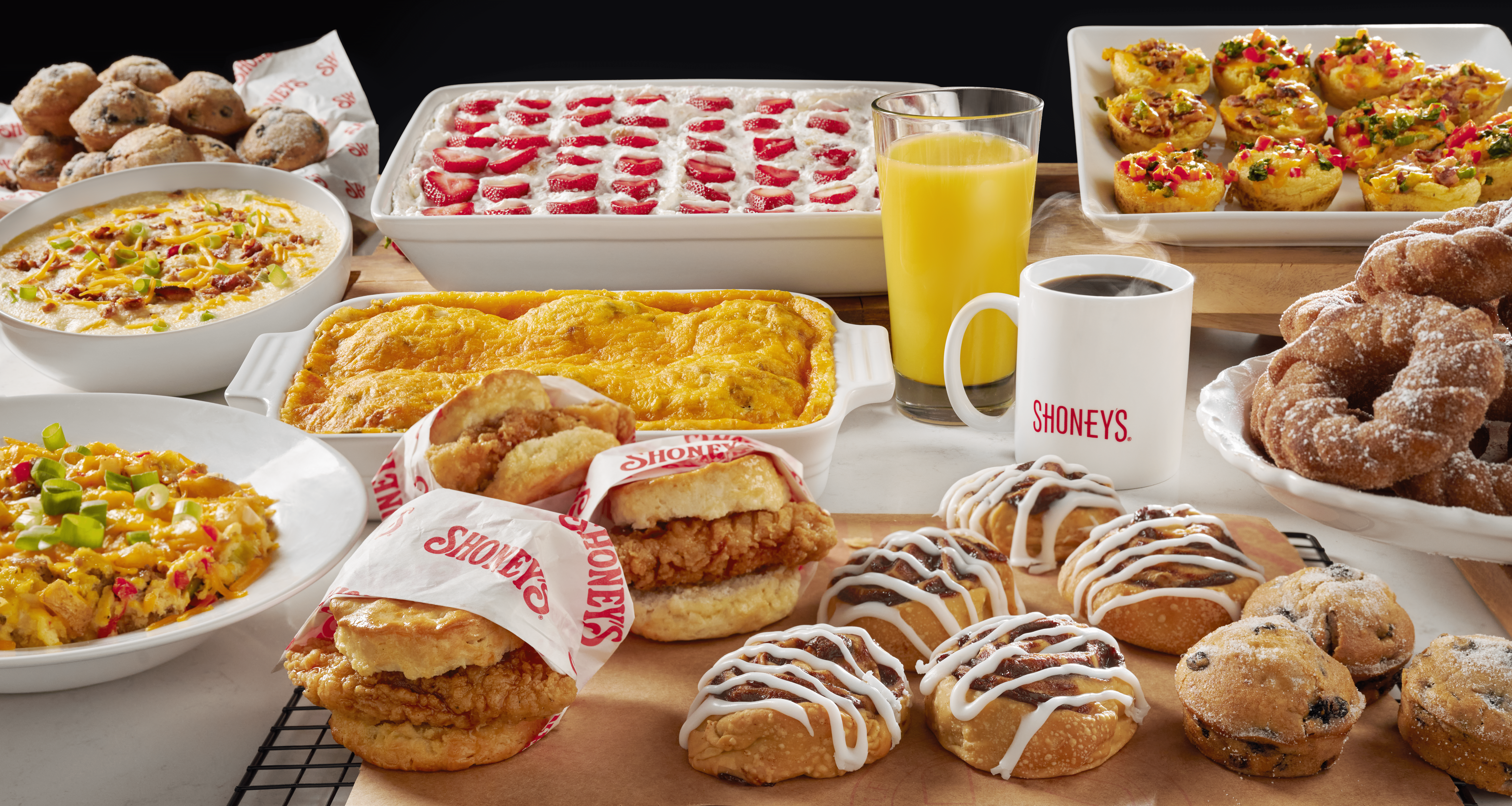 Shoneys Tripod Hero