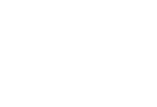 Flavor Fiesta